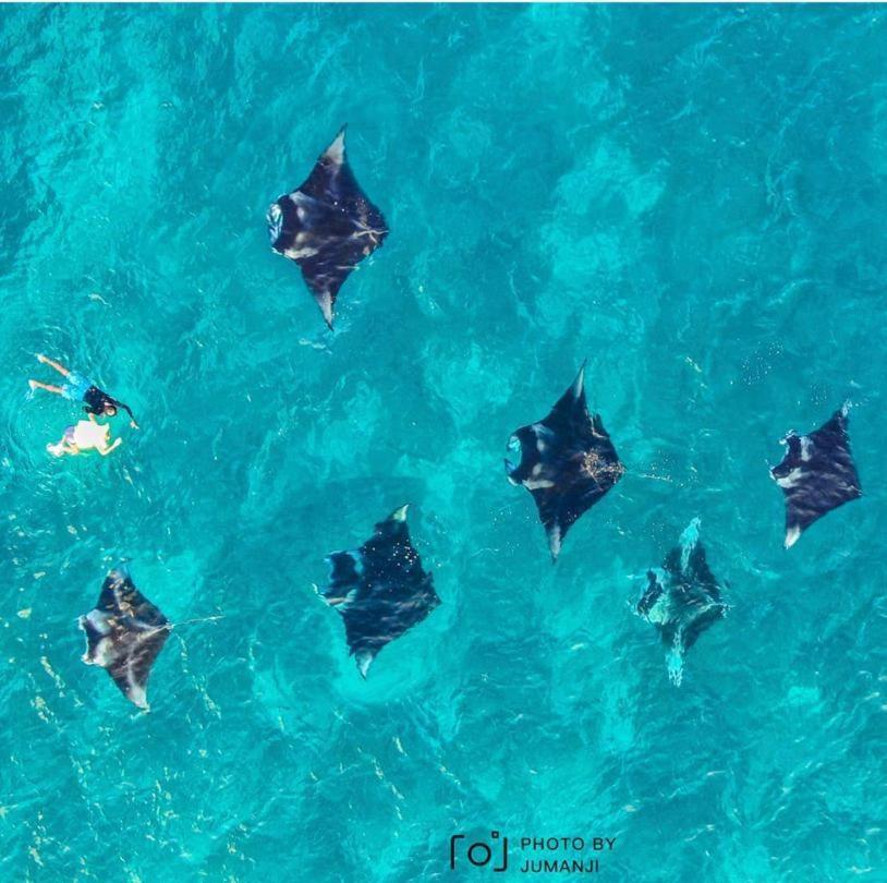 Kingsway Thoddoo Maldives Hotel Bagian luar foto